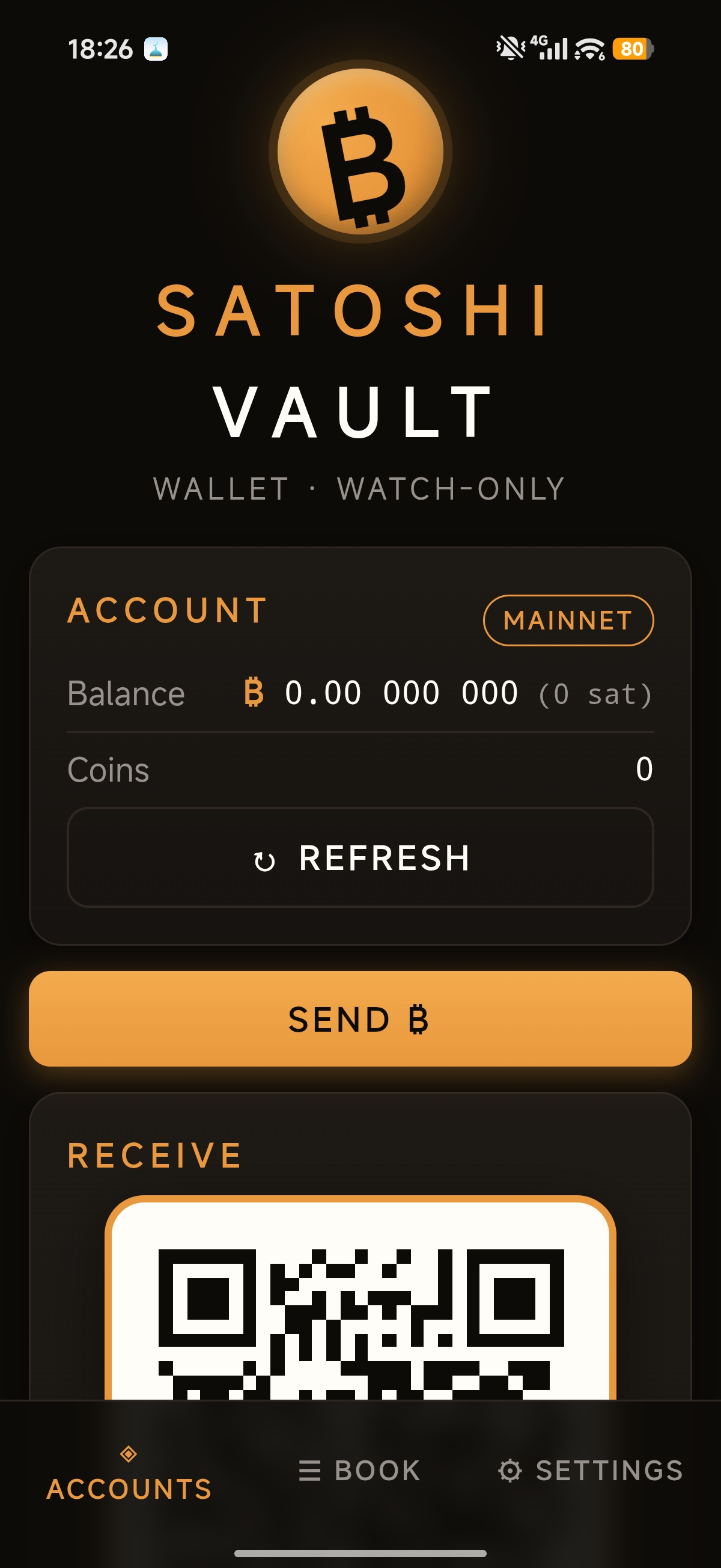 Satoshi Vault Wallet account overview